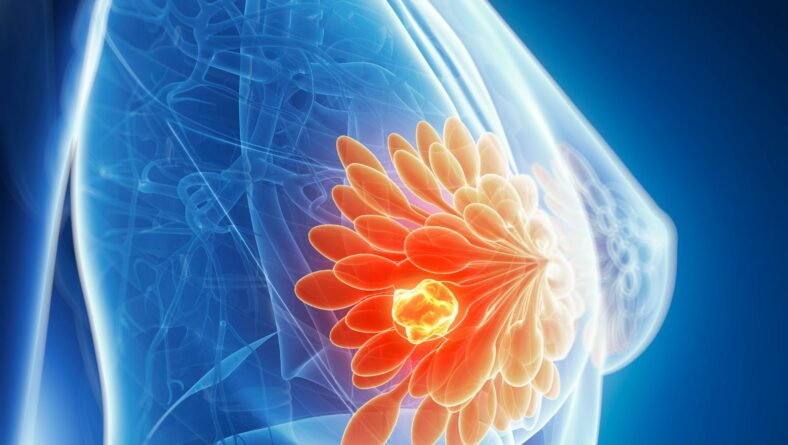 Descubierto el papel en la replicación del ADN del principal gen causante del cáncer de mama y ovarios hereditario