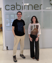 La Fundación “la Caixa” ha seleccionado en su convocatoria CaixaResearch Health 2025 en Neurociencias un proyecto liderado por CABIMER-Universidad de Sevilla para identificar y evaluar potenciales dianas en células gliales en la Esclerosis Lateral Amiotrófica (ELA).